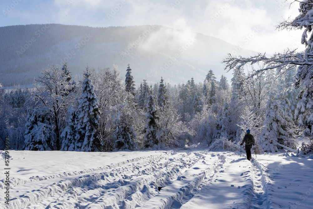 Man with a backpack and hiking poles hiking in snowy coniferous forest on Hala Slowianka in Beskid M