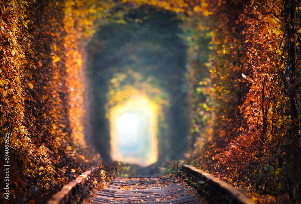 A railway adventure amidst an autumn forest