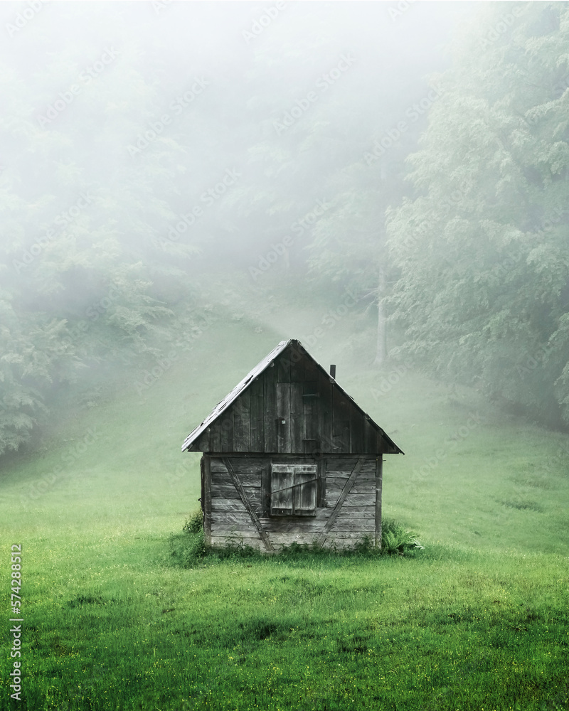 Alone cabin in the woods. High resolution panorama. Landscape photography