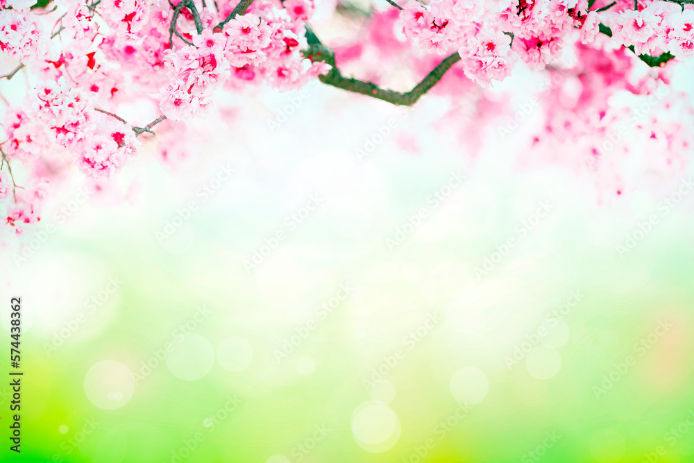 Cherry blossom spring background with bokeh lights and copy space