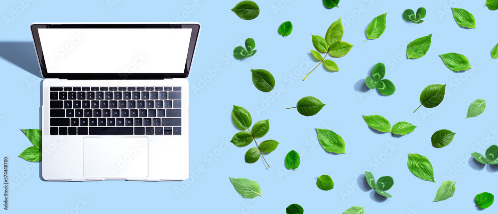 Laptop computer with green leaves - flat lay