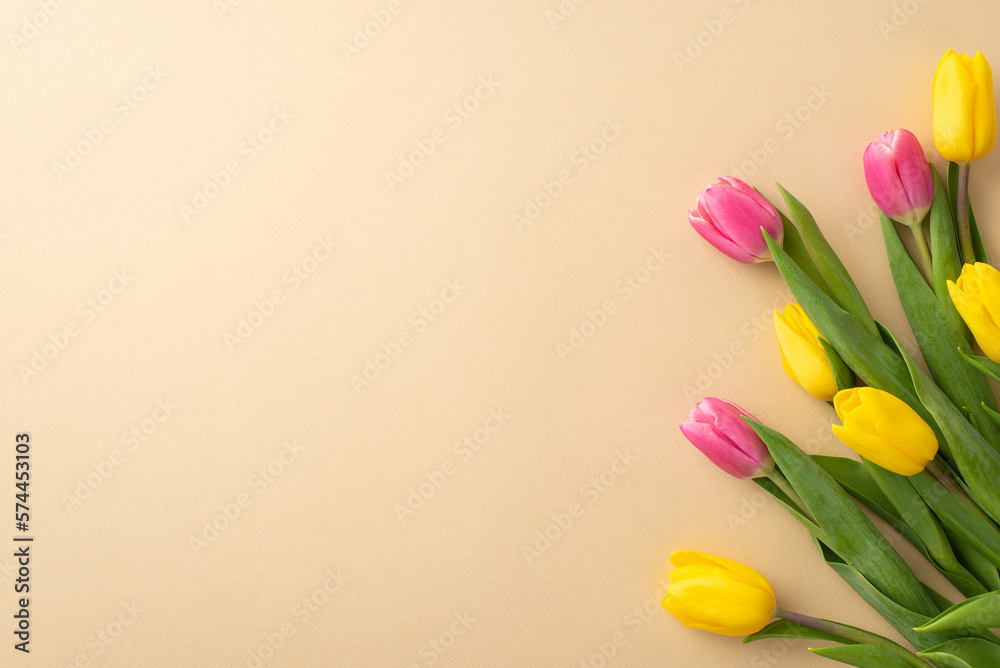 Spring concept. Top view photo of bouquet of yellow and pink tulips on isolated pastel beige backgro