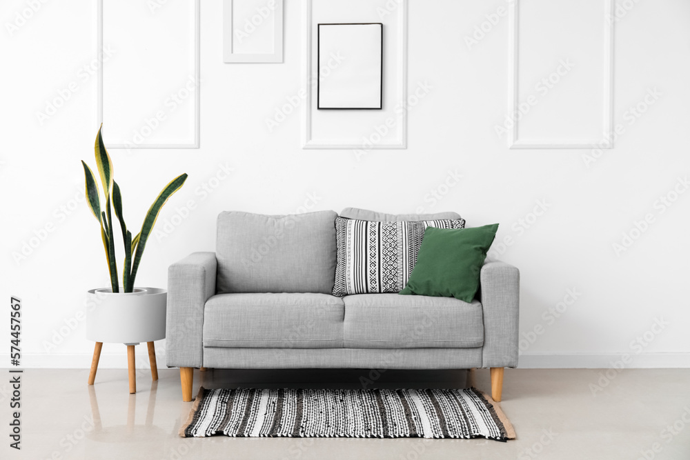 Interior of light living room with grey sofa, houseplant and rug