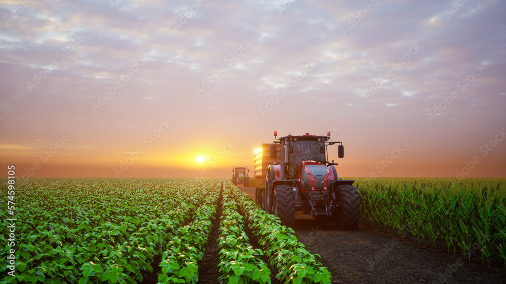 Tractor working in agricultural plots at sunset. 3d render