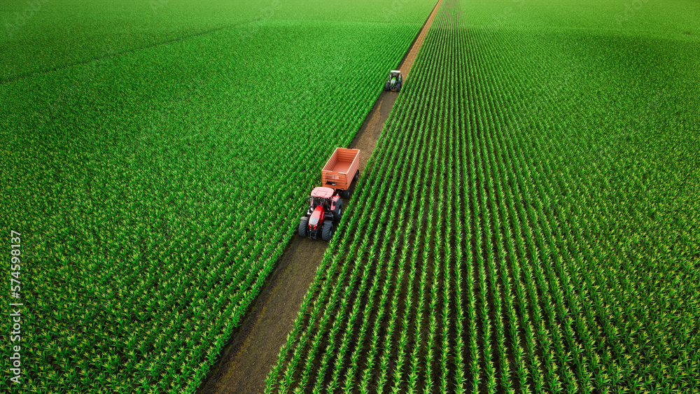 Aerial view of tractor working in corn fields. 3d render