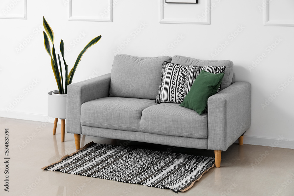 Interior of light living room with grey sofa, houseplant and rug