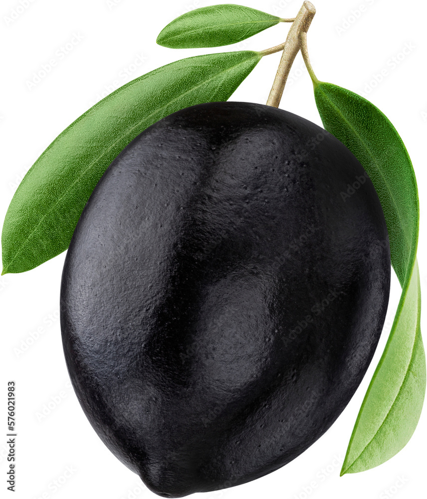 One black olive isolated