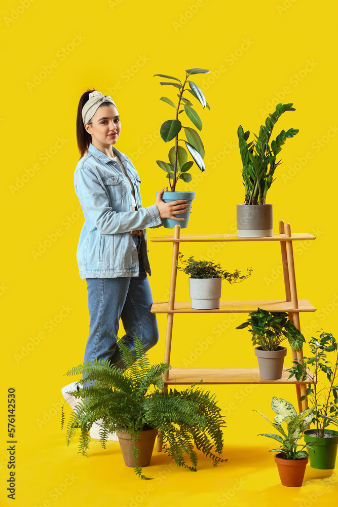 Young woman and shelving unit with green houseplants on yellow background