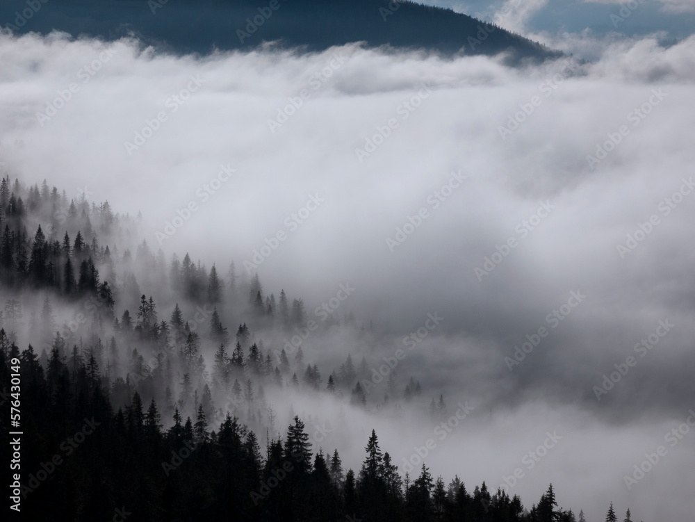 Cloudy landscape. Foggy day in the mountains. Mountain peaks and forest in dense fog.