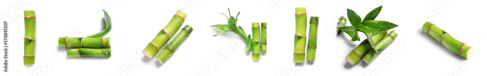 Set of green bamboo isolated on white