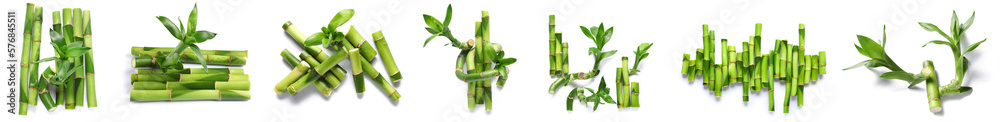 Set of green bamboo isolated on white