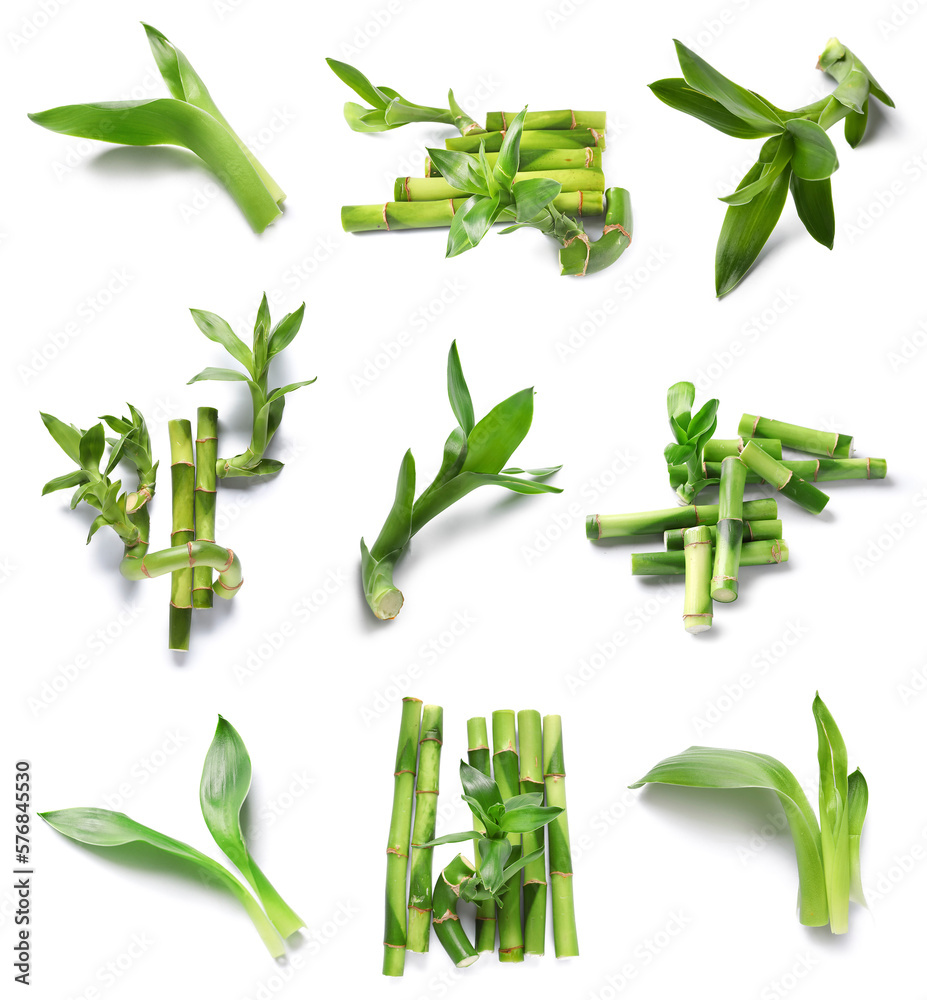 Set of green bamboo isolated on white