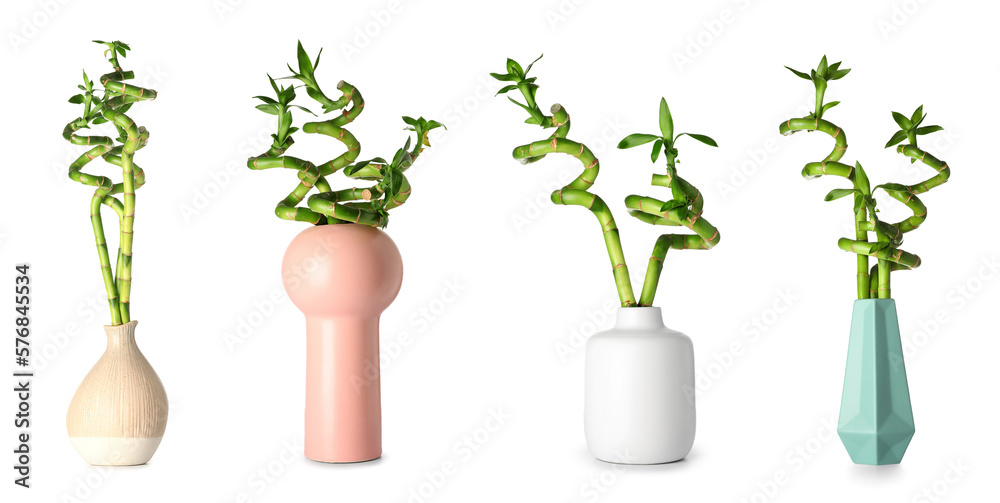 Set of vases with green bamboo branches isolated on white