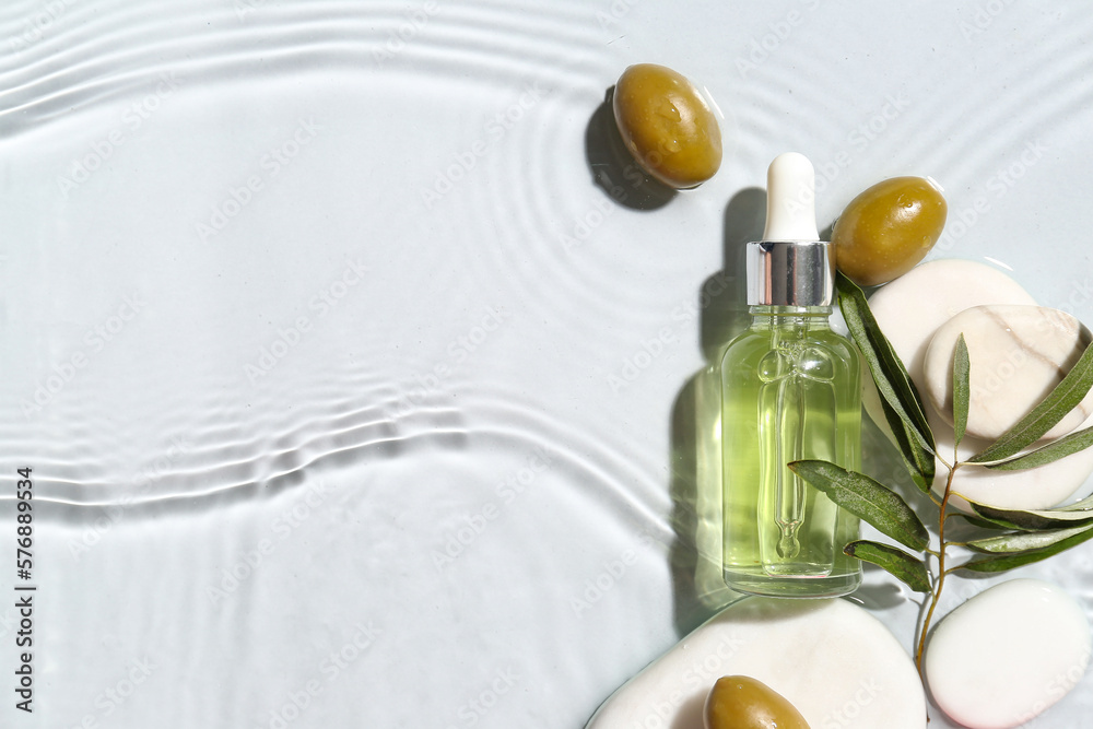 Bottle of essential olive oil, plant branch and spa stones in water on white background