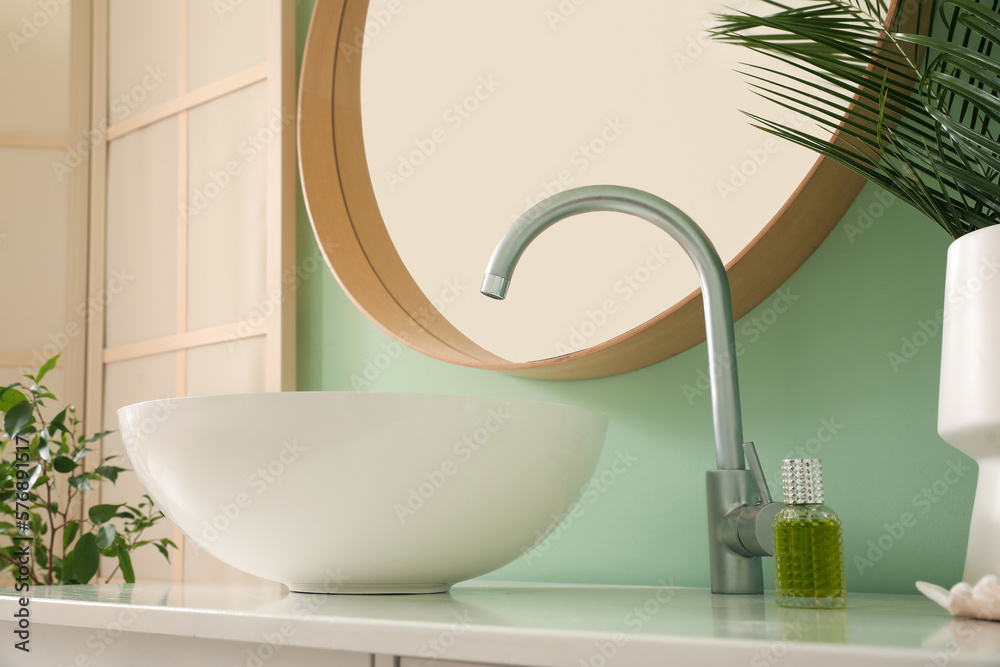 Houseplants and ceramic sink near mirror in bathroom