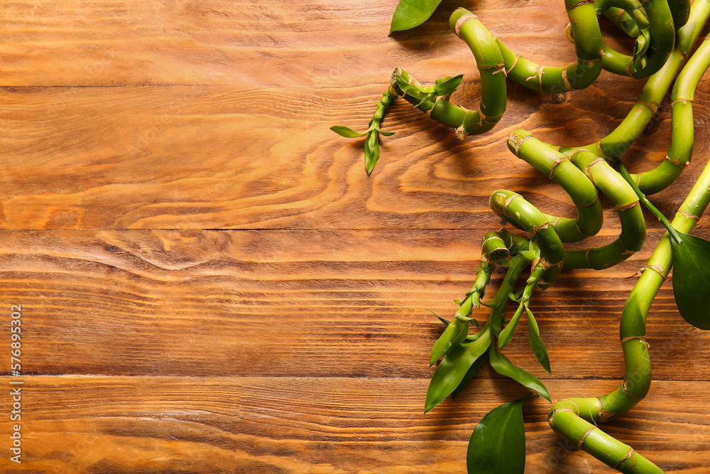 Bamboo branches on wooden background