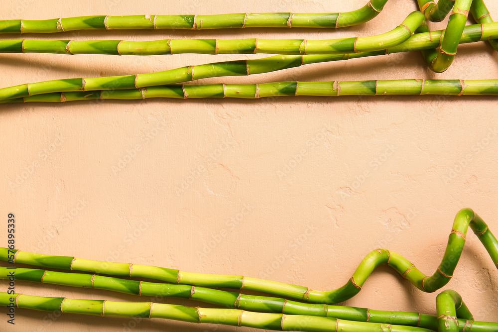 Bamboo branches on beige background