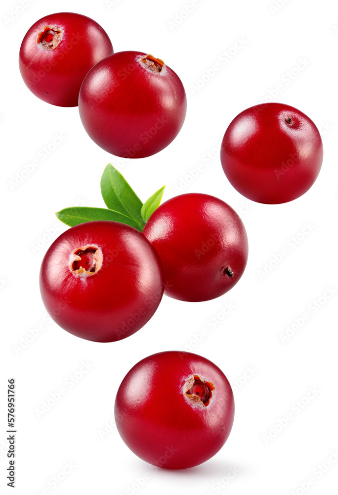 Cranberry isolated. Cranberries flying on white background. Cranberry berries with leaf falling. Ful