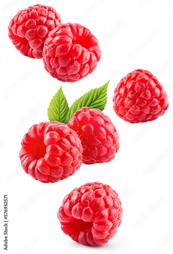 Raspberry isolated. Red raspberries with green leaf isolate on white background. Raspberry with leav