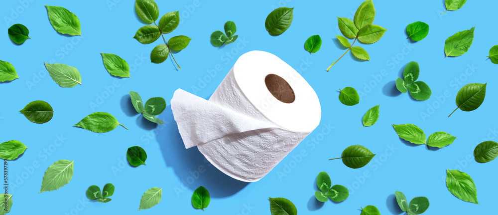 A roll of toilet paper with green leaves - flat lay