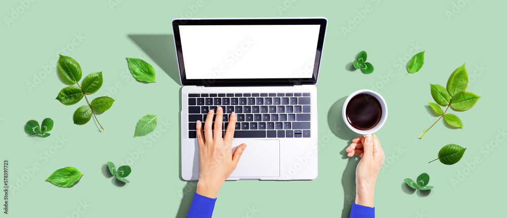 Person using a laptop computer with green leaves - flat lay