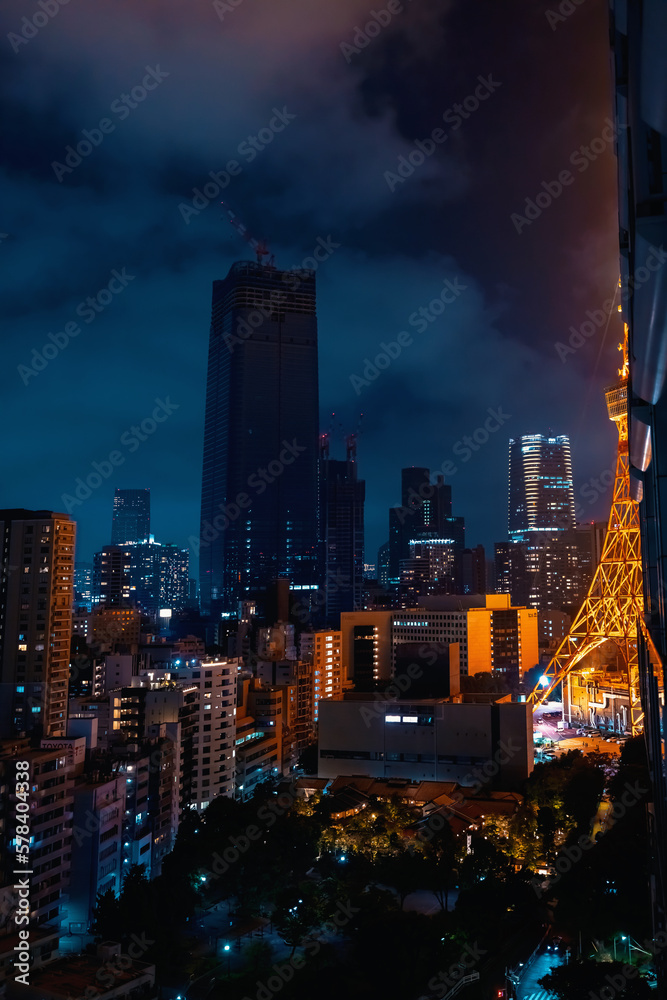 Skyscrapers and highways through Minato, Tokyo, Japan