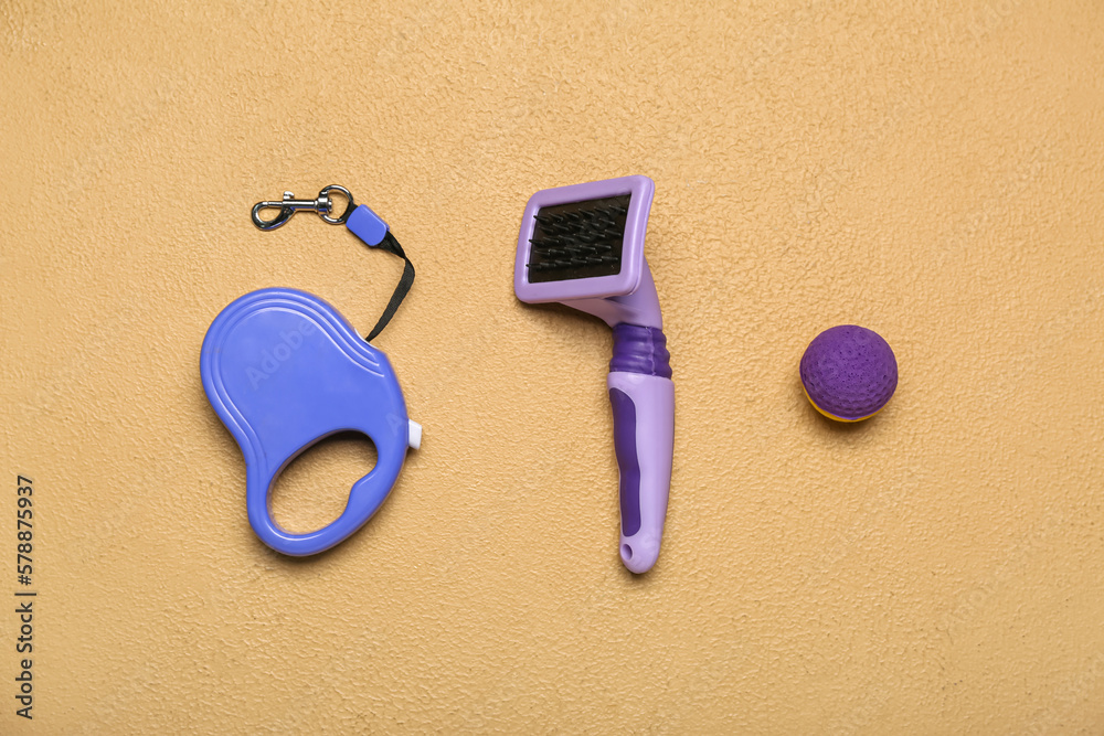 Leash, rubber ball and grooming brush on color background