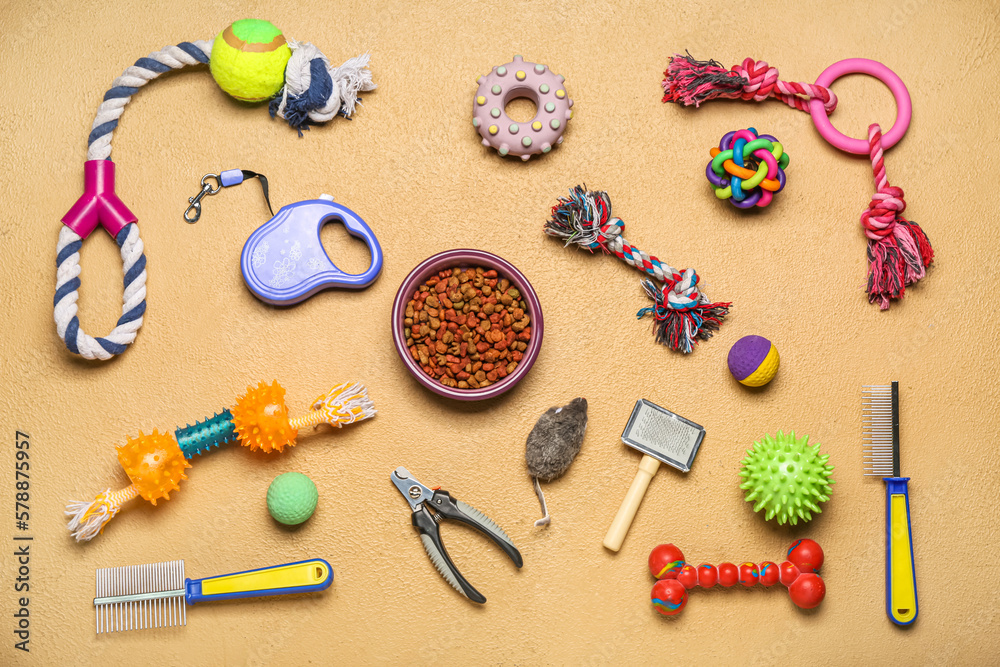 Composition with pet care accessories and food on color background