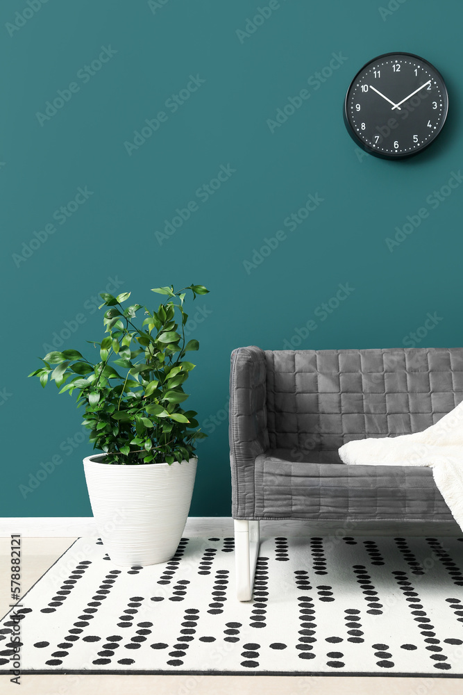 Stylish grey sofa and houseplant near green wall