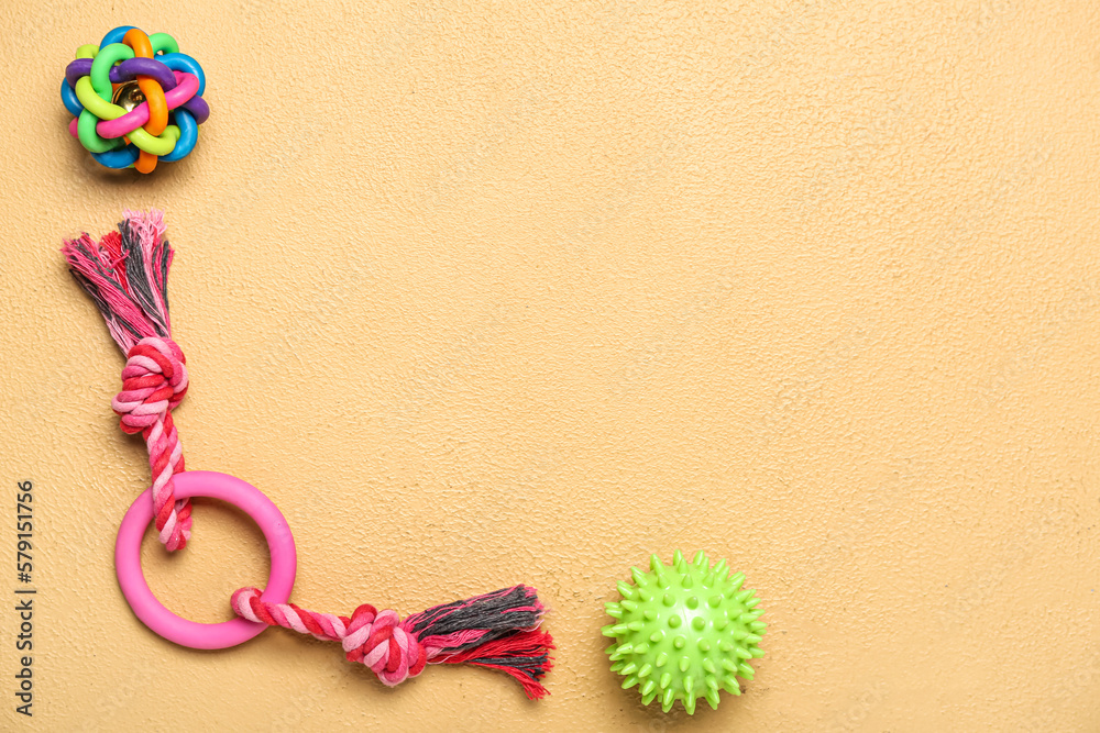 Set of pet toys on color background