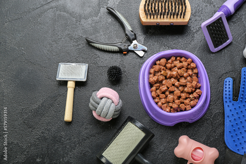 Composition with pet care accessories and wet food on dark background