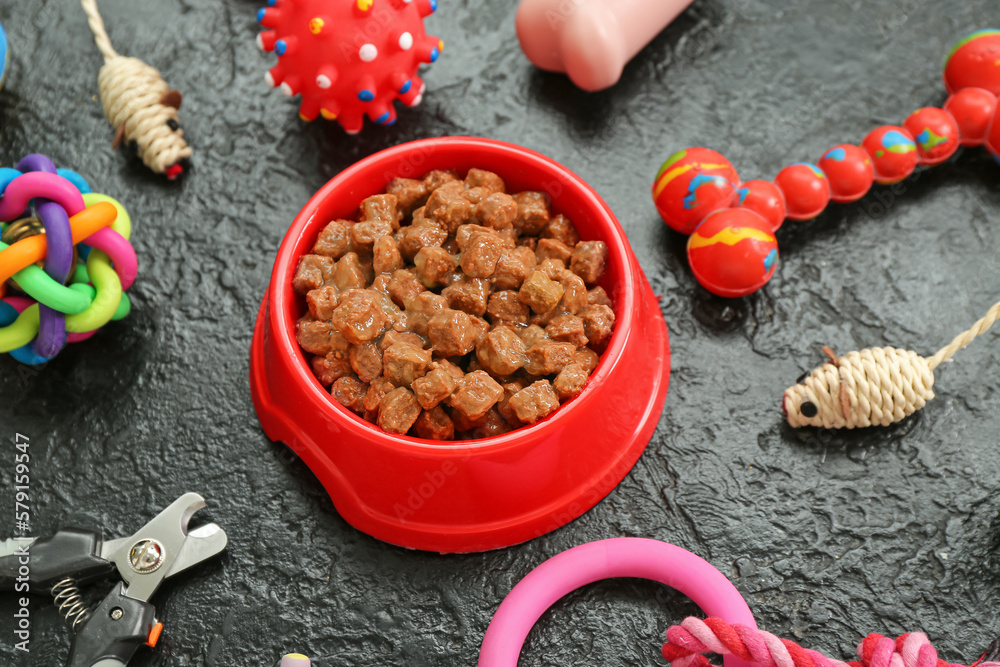 Composition with bowl of wet food and pet care accessories on dark background