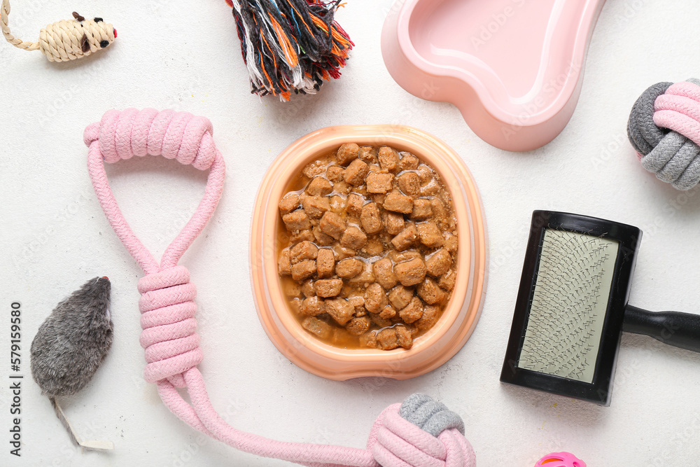 Composition with bowl of wet food and pet care accessories on light background