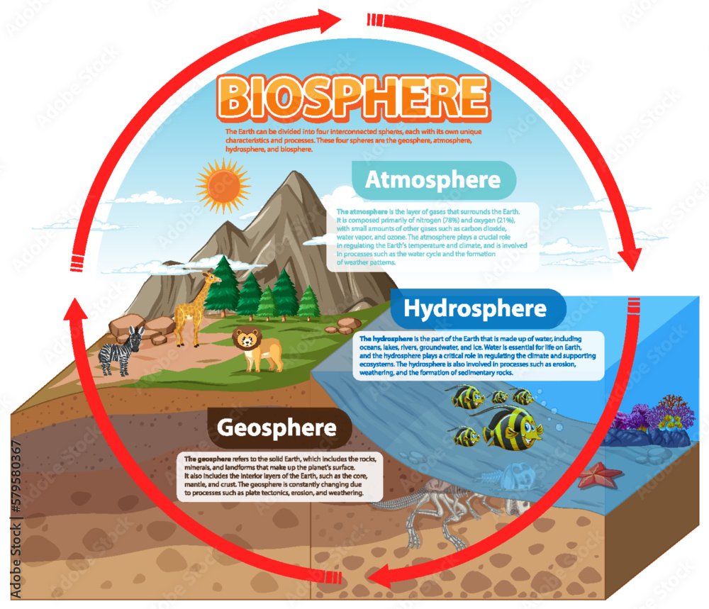 Biosphere Ecology Infographic for Learning