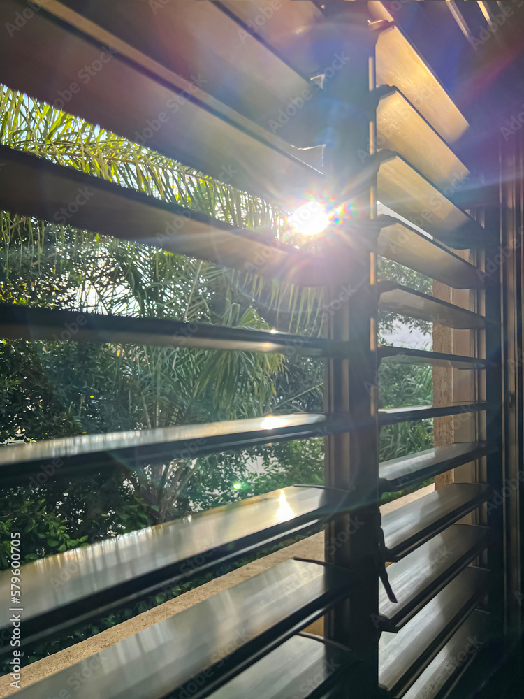 Window with black blinds in room, closeup