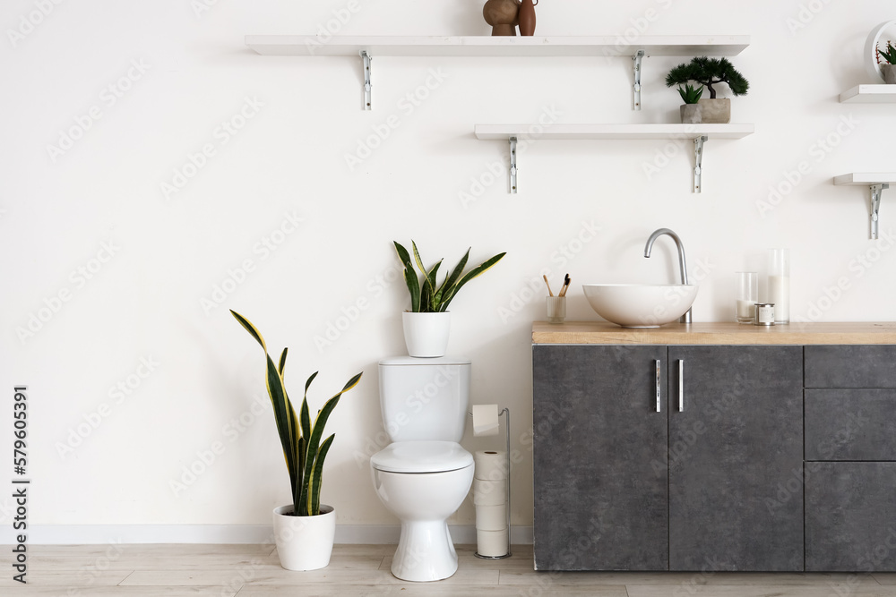 Interior of bathroom with sink, toilet bowl and shelves