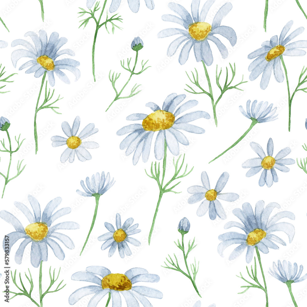 watercolor seamless pattern with daisies. wild flower print