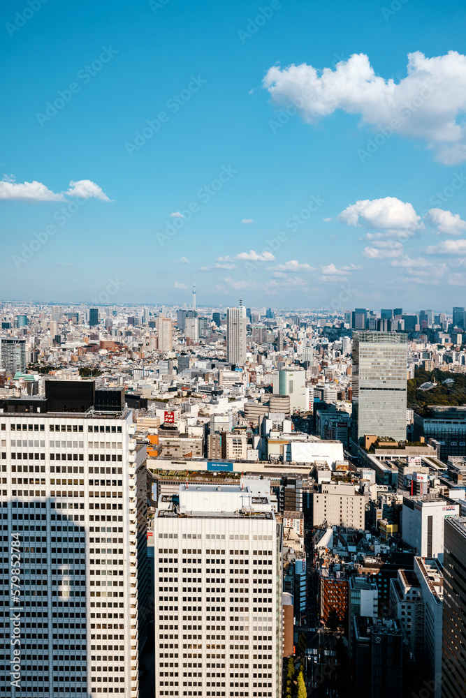 Skyscrapers towering above the cityscape of Nishi-Shinjuku, Tokyo, Japan