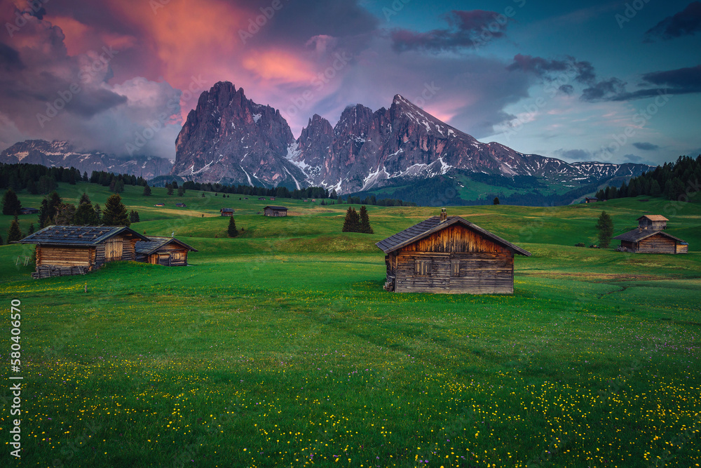 Summer alpine landscape with yellow globeflowers on the fields, Dolomites