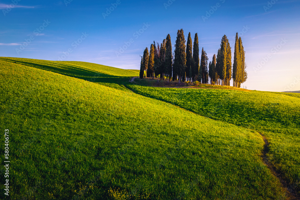 Idyllic summer scenery at sunset in Tuscany, Italy