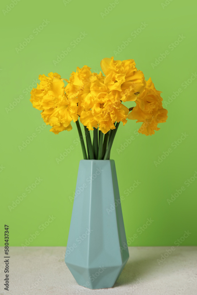 Vase with narcissus flowers on table near green wall