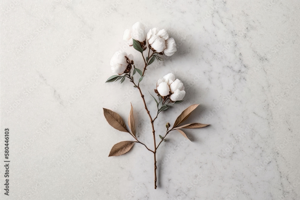 Cotton flower branch on white marble background. Illustration AI Generative