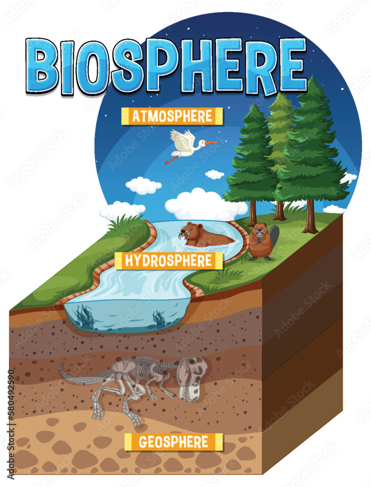 Biosphere Ecology Infographic for Learning