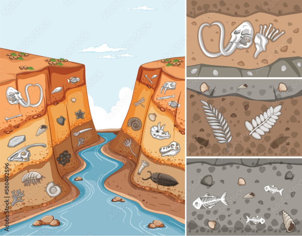 Fossils and the Geological Time Scale