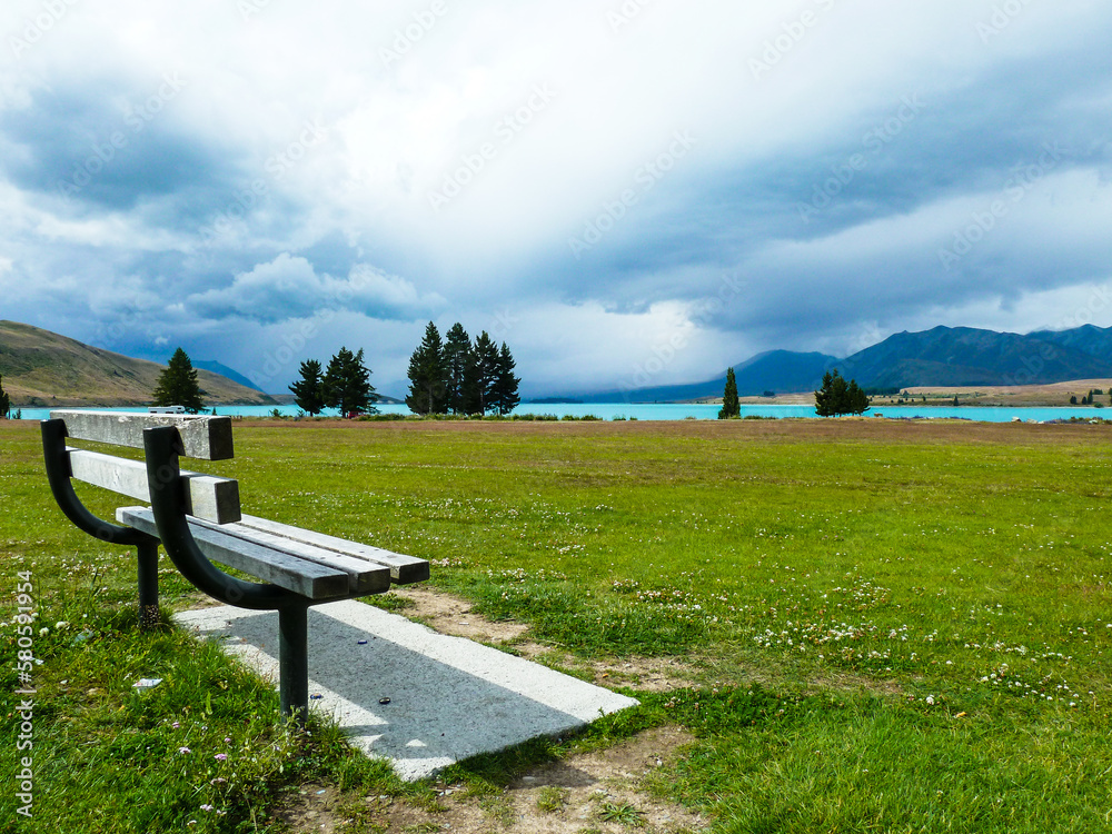 bench on a green field with a view of the lake