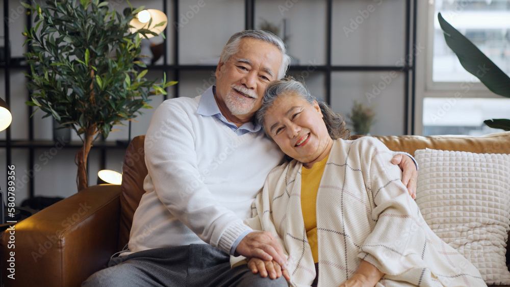 Portrait happy Asian mature senior couple look at the camera and smiling.