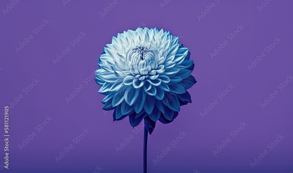  a large blue flower sitting on top of a purple table top next to a purple wall and a purple vase wi