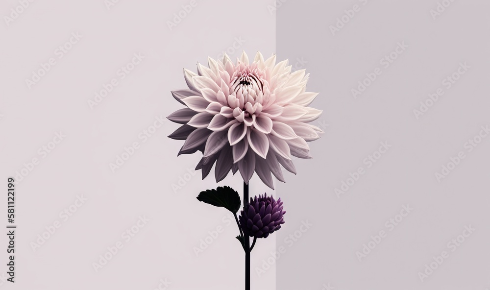  a large pink flower sitting on top of a purple flower stem in front of a white wall and a purple fl