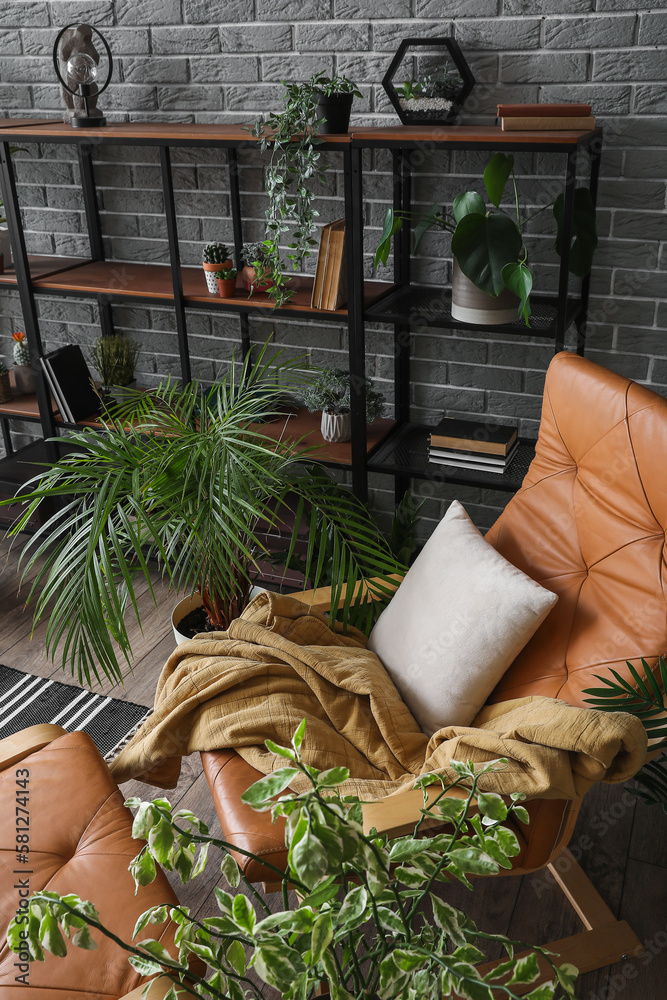 Interior of living room with houseplants, shelving unit and armchair