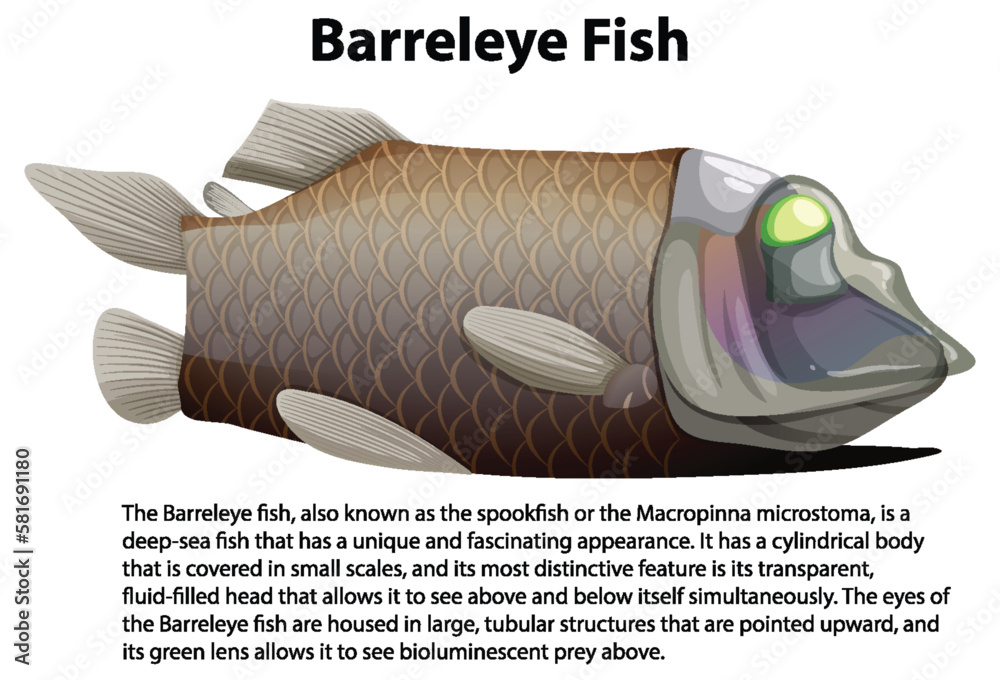 Pacific Barreleye Fish with Informative Text